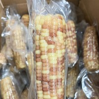 糯玉米新鮮西雙版納特產(chǎn)香糯云南小玉米真空即食香甜花包谷4斤裝