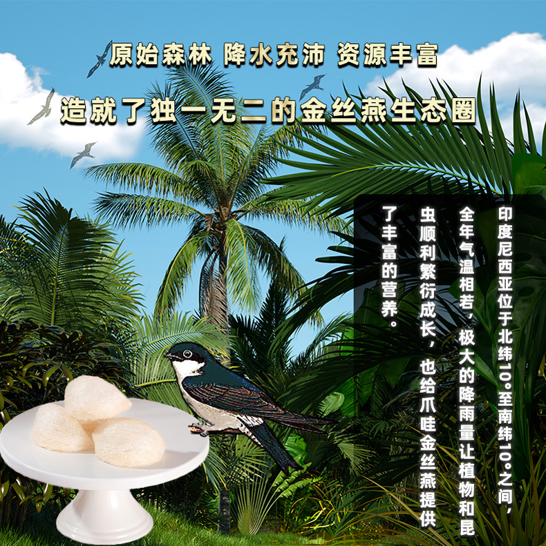 印尼溯源碼密盞_02