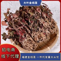 整株大葉紅霞金線蓮干品 新品烹調(diào)金線蓮 煲湯材料500克金線蓮