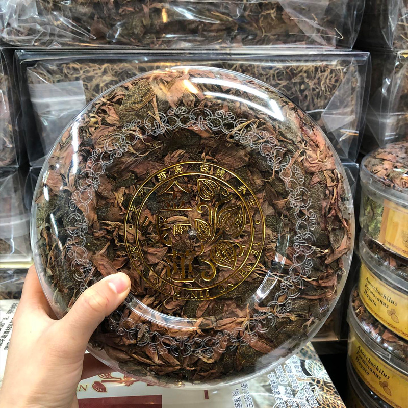 大葉金線蓮_11.png