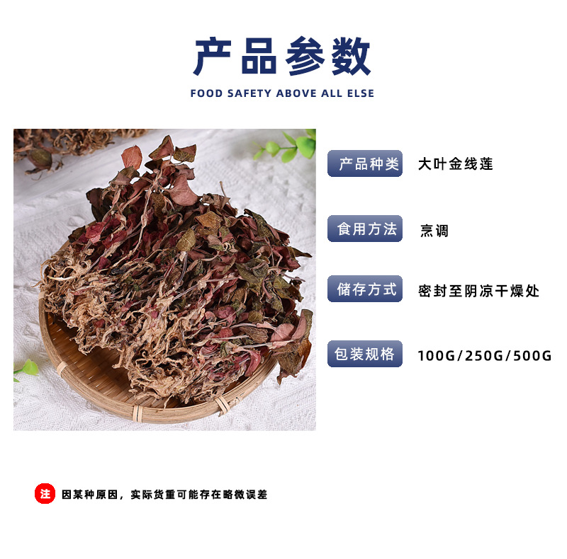 大葉金線蓮_02.png