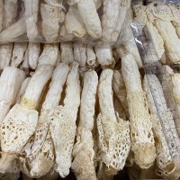 貴州竹笙 織金竹筍長裙厚肉食用菌菇 煲湯火鍋食材 廠家直批