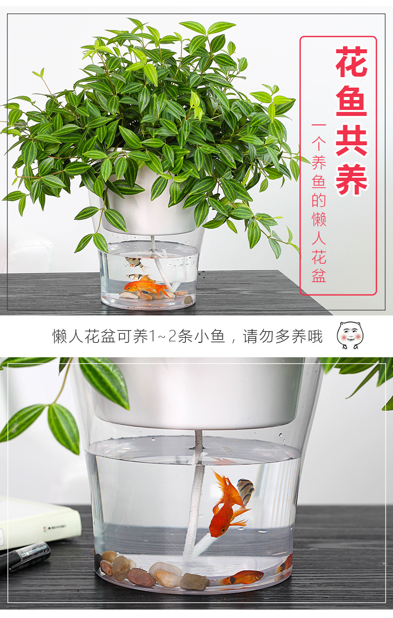 補圖_01