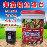水溶肥生根壯苗膨果肥海藻精魚蛋白黃腐酸鉀甲殼素魚蛋白量大從優(yōu)