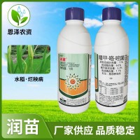 潤(rùn)苗 11%精甲·咯·嘧菌 立枯病 白絹病 根腐病拌種農(nóng)藥殺菌劑