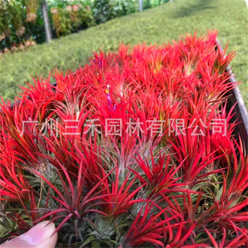 微信圖片_20191024084850_副本.jpg