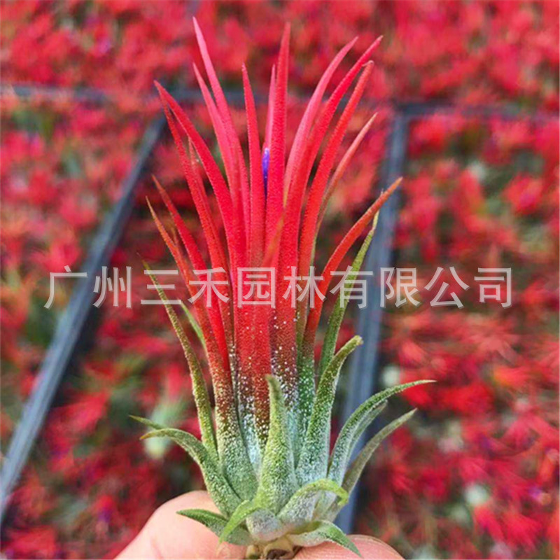 微信圖片_20191024084845_副本.jpg