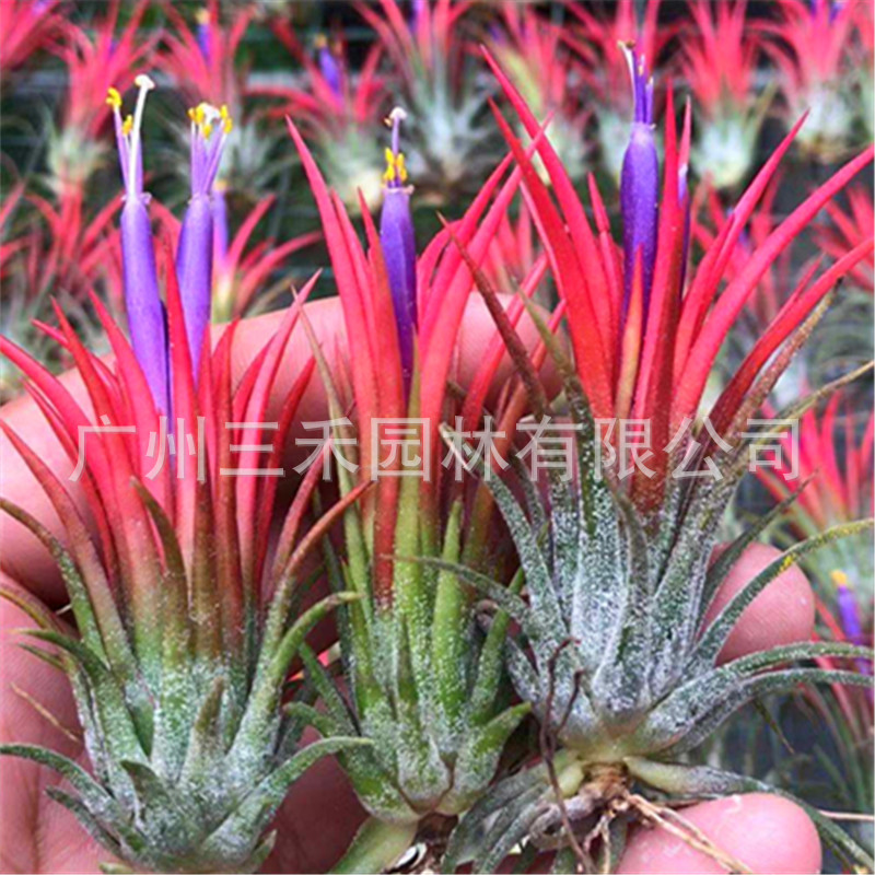微信圖片_20191024084857_副本.jpg