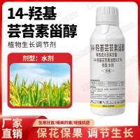 14-羥基蕓苔素甾醇 天然蕓苔素內(nèi)酯?；ū９馑幒χ参锷L(zhǎng)調(diào)節(jié)劑