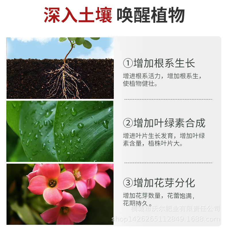 詳情頁-2.jpg