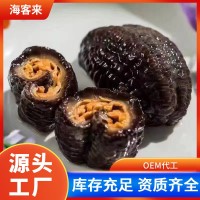 加拿大即食紅極參工廠批發(fā)新鮮紅參一件代發(fā)野生進(jìn)口無(wú)刺紅筋海參