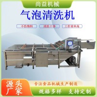 食品包裝袋去油污清洗機(jī)水果清洗風(fēng)干流水線農(nóng)產(chǎn)品氣泡清 洗設(shè)備