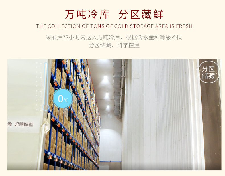 998g鎖鮮棗禮盒10.jpg