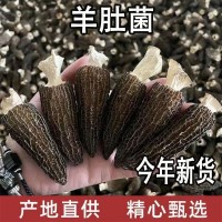 新貨云南特級羊肚菌干貨精選正品羊肚菇煲湯滋補(bǔ)食材農(nóng)家特產(chǎn)包郵