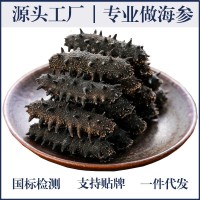 【海參工廠】深海淡干海參野生海參非即食海參遼參海參干貨禮盒裝
