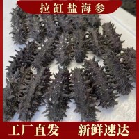 海參廠家批發(fā)大連海參遼刺參口感勁道鮮食海參大連特產(chǎn)