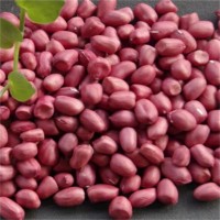 四粒紅花生米批發(fā) 去殼紅花生米50斤東北生花生米