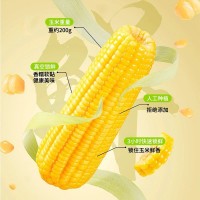 包郵東北特產(chǎn)好品質(zhì)黃糯玉米10根裝黏糯玉米真空包裝玉米低脂真空