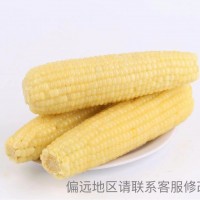 特等白珍珠糯玉米10支裝品質(zhì)不變保溫箱＋冰袋獨(dú)立包裝