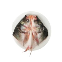 新鮮鰱魚頭富硒剁椒魚頭冷凍魚頭商用預(yù)制菜速凍魚頭餐飲批發(fā)半成