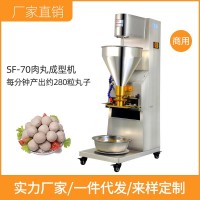 晟鋒肉丸機(jī)商用全自動(dòng)肉丸成型機(jī)丸子機(jī)打魚丸豬肉丸牛肉丸肉圓機(jī)