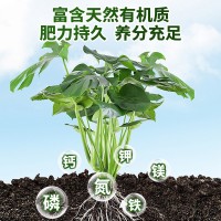 40L國產(chǎn)先機育苗基質(zhì)草炭土蛭石 珍珠巖通用型營養(yǎng)土水果蔬菜種植