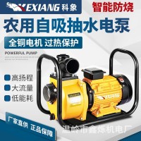 廠家農(nóng)用DSU大流量自吸泵灌溉CHP高壓220伏兩相380V三相電機水泵