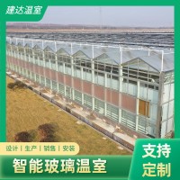 荷蘭模式智能玻璃溫室 文洛型玻璃溫室