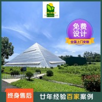 金字塔式溫室大棚觀(guān)光農(nóng)業(yè)立體無(wú)土栽培多層種植科普研學(xué)校園農(nóng)場(chǎng)