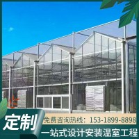 連棟玻璃溫室 苗圃花卉連體溫室大棚 可控制溫度濕度系統(tǒng)玻璃暖棚