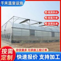 連棟溫室大棚種植草莓蔬菜大棚骨架薄膜簡易連棟連體溫室大棚