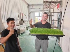 水培牧草種植是畜牧業(yè)的新希望，還是隱藏的風險？
