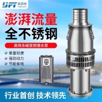 英菲特定頻款精品離心輕便型不銹鋼高效節(jié)能大流量軸流潛水泵