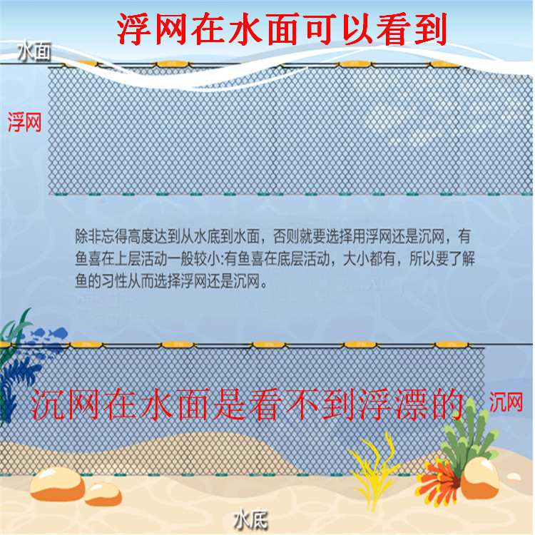 沉網(wǎng)和浮網(wǎng)示意圖