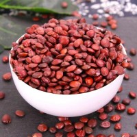 國產(chǎn)酸棗仁中藥材批發(fā)棗仁農(nóng)產(chǎn)品規(guī)格齊全量大價優(yōu)精選炒棗仁