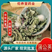 新貨蒲公英中藥材批發(fā)整顆粉散裝大500克茶2斤根包郵干