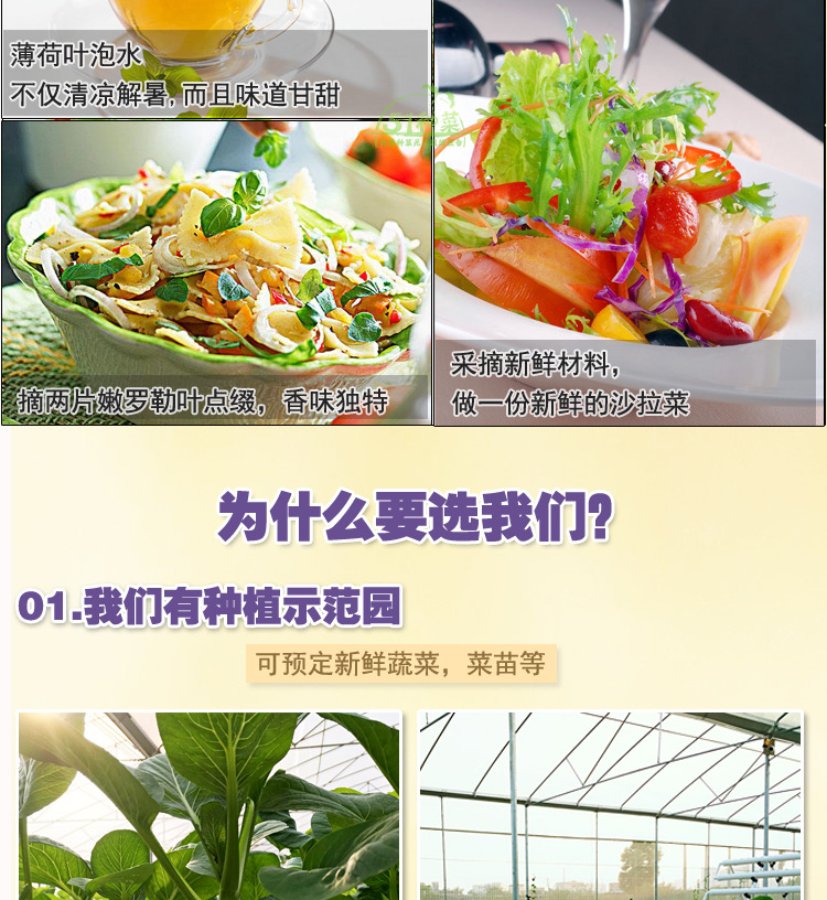 四排三層介紹圖_16.jpg