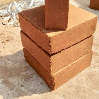 量大價格優(yōu)惠 現(xiàn)貨促銷低鹽度好泡發(fā)含沙土少印度產(chǎn)地 椰糠