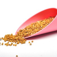 進(jìn)口奧綠緩釋肥 奧綠1號A2 312s 313s 315s 318s奧綠肥 25KG大包裝