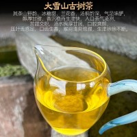 普洱茶生茶散茶新春茶葉大雪山純料大樹生普洱茶特級生茶散裝500g