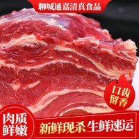牛腩 新鮮冷凍牛肉原切牛腩新鮮現(xiàn)殺整切牛腩肉牛肉腿肉