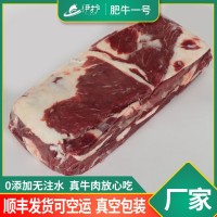 國產(chǎn)清真牛肉肥牛一號 伊護(hù)肥?？汕衅逝＞?新鮮冷凍魯西黃牛肉