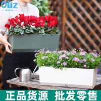 窗臺窄花盆陽臺懶人種植自吸水種菜盆蔬菜種植箱種菜盆栽花盆批發(fā)
