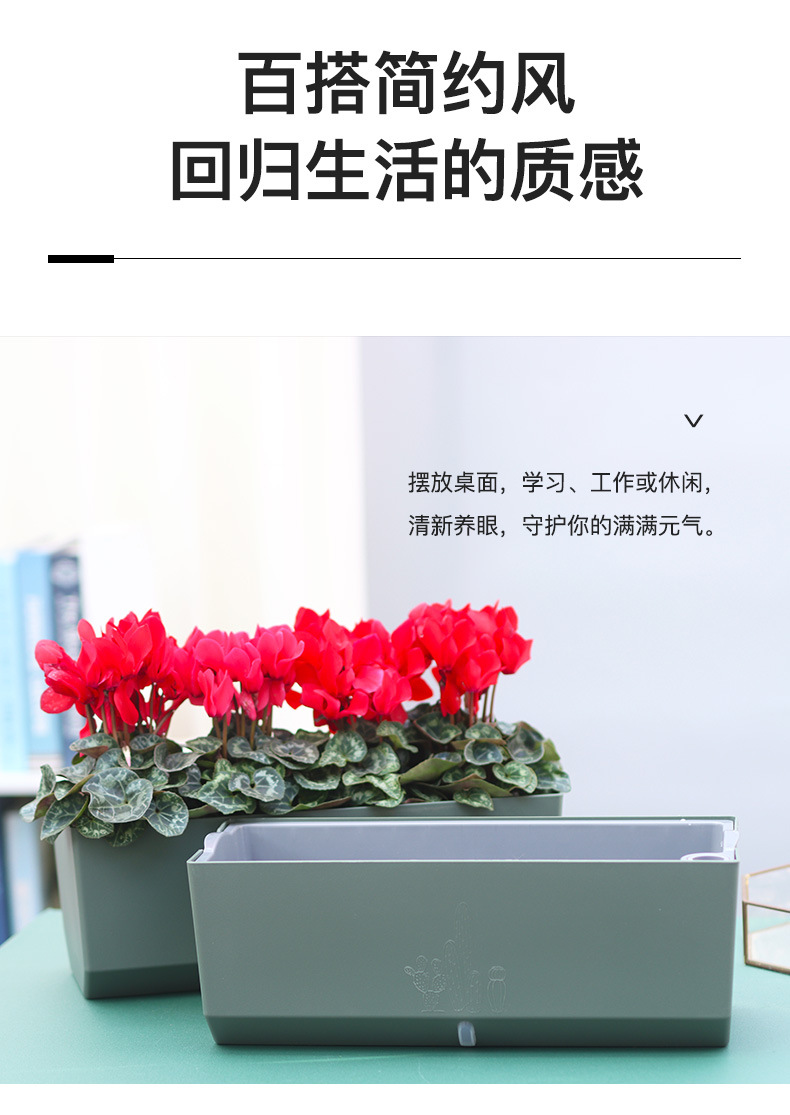 A203-菱形長(zhǎng)條儲(chǔ)水花盆_07.jpg