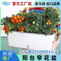 塑料花盆廠家批發(fā)長(zhǎng)方形長(zhǎng)條形儲(chǔ)水懶人花盆SC06種菜盆新款北歐風(fēng)