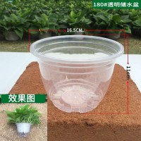 180綠蘿花盆透明儲(chǔ)水盆 盆栽花卉懶人花盆綠籮花盆自動(dòng)吸水盆批發(fā)