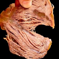 五香醬牛肉開袋即食500g真空袋裝下酒菜涼拌菜鹵熟食現(xiàn)貨廠家批發(fā)