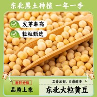 東北大粒黃豆豆腐豆?jié){原料東北大豆農(nóng)家自種五谷雜糧一件代發(fā)批發(fā)