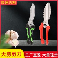 大蒜剪農用剪刀碳鋼大蒜剪刀工廠批發(fā)洋蔥蒜頭苗根莖大頭剪刀農用