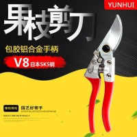廠家批發(fā) 園林剪果枝剪多功能省力V8SK5修枝剪粗枝盆栽剪園藝工具